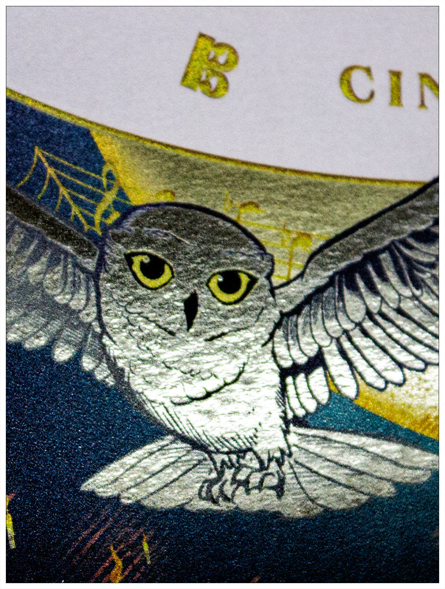 Harry Potter and the Philosopher's Stone™ in Concert Foil Poster