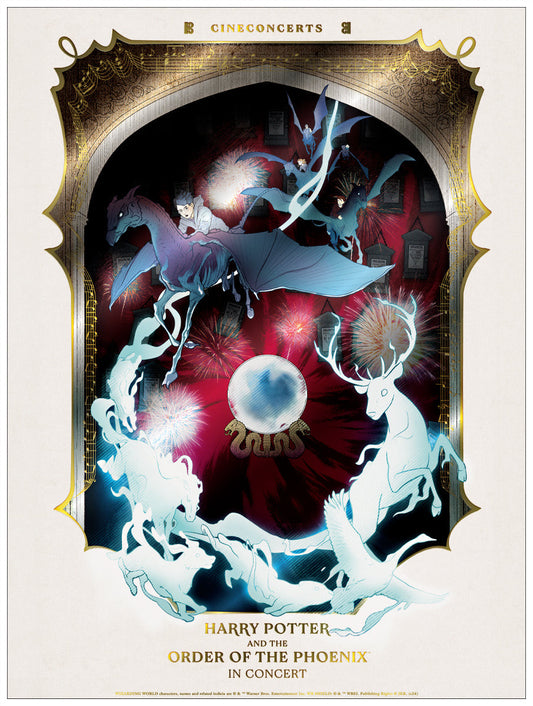 Harry Potter and the Order of the Phoenix™ in Concert Foil Poster