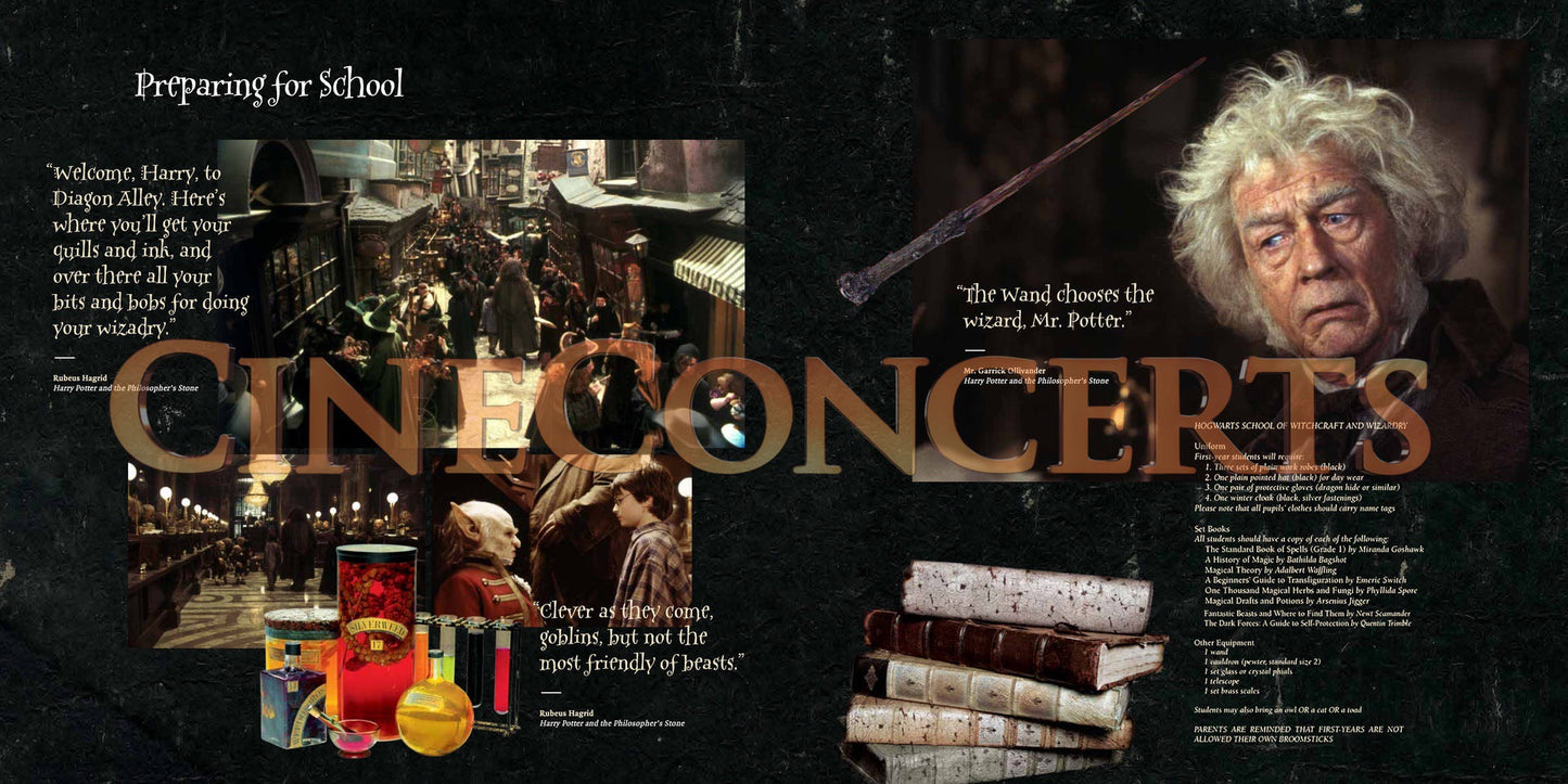 Harry Potter and the Sorcerer's Stone™ In Concert Souvenir Program