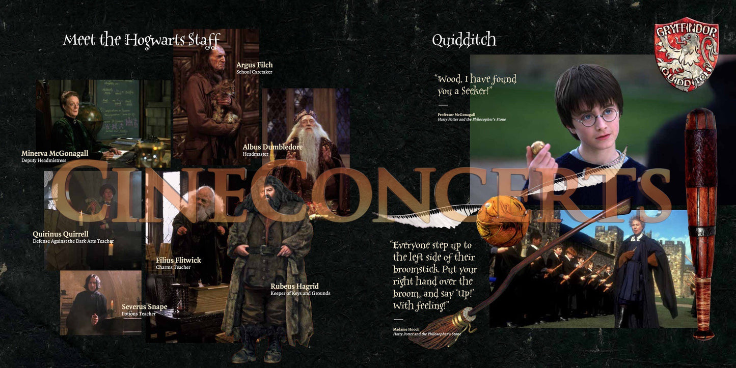 Harry Potter and the Sorcerer's Stone™ In Concert Souvenir Program