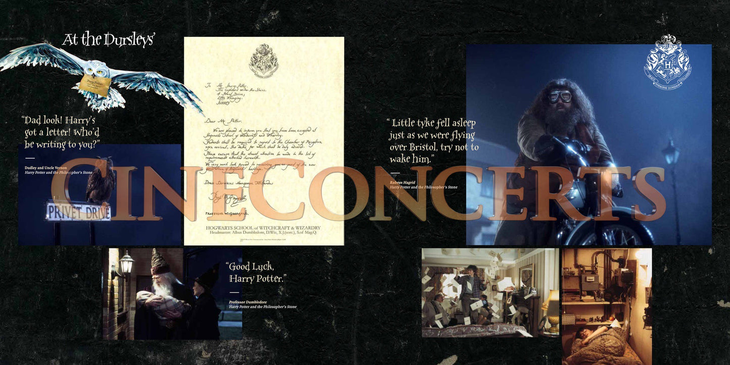 Harry Potter and the Sorcerer's Stone™ In Concert Souvenir Program