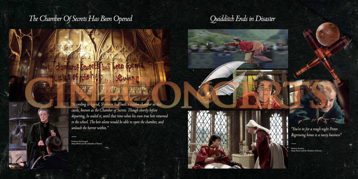 Harry Potter and the Chamber of Secrets™ in Concert Souvenir Program