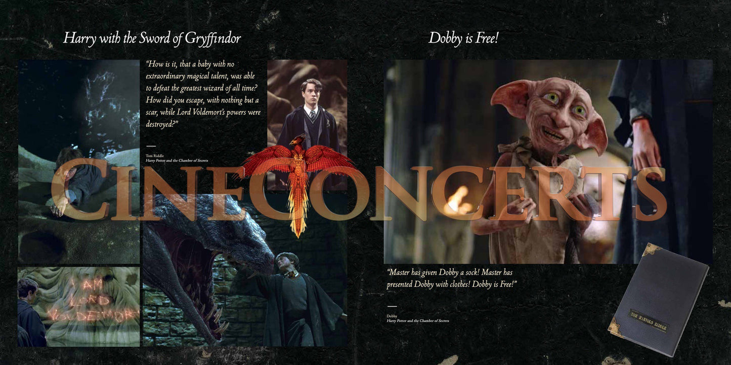 Harry Potter and the Chamber of Secrets™ in Concert Souvenir Program