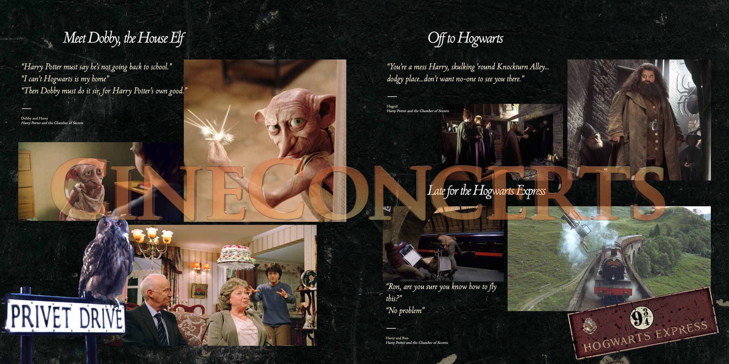 Harry Potter and the Chamber of Secrets™ in Concert Souvenir Program