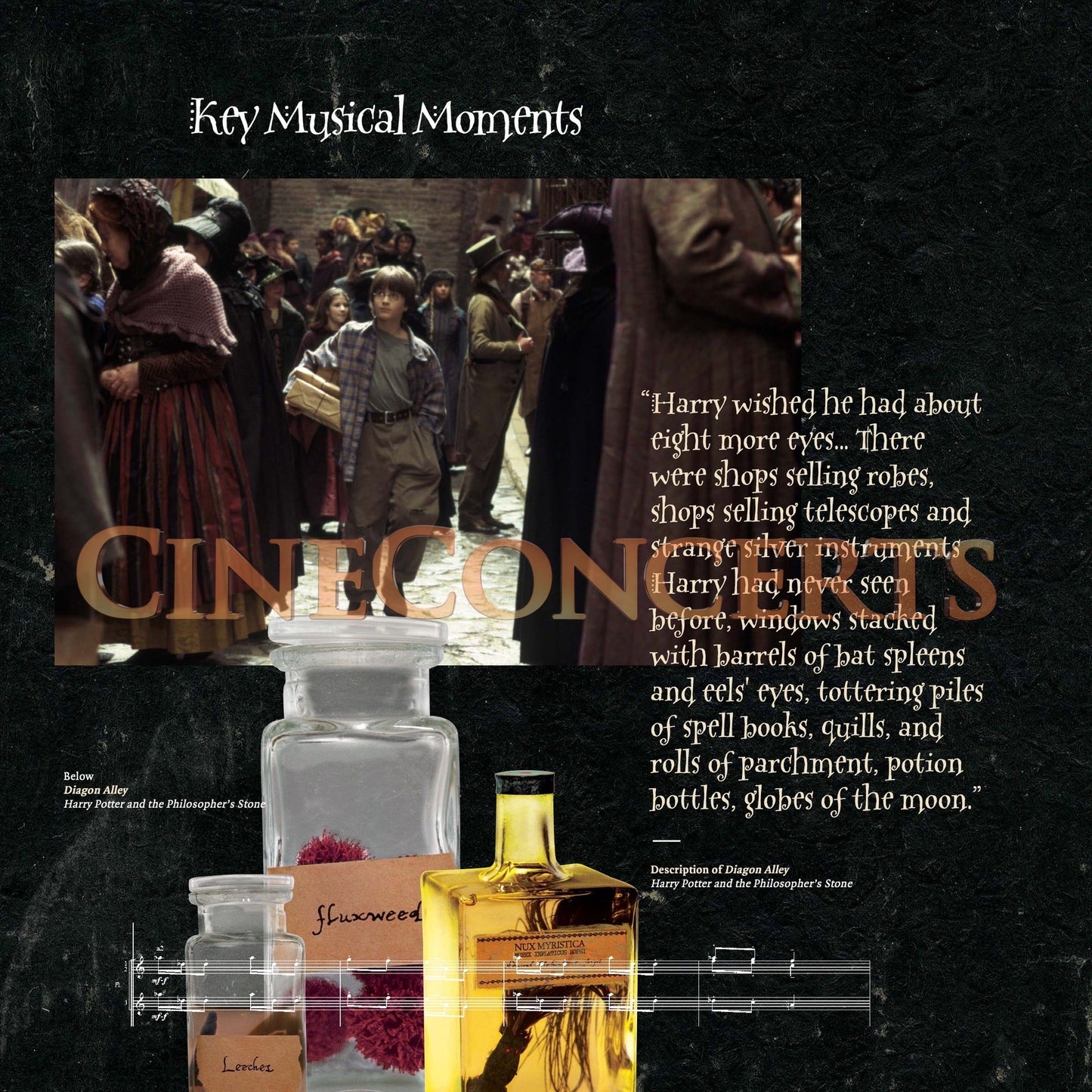 Harry Potter und der Stein der Weisen in Concert Souvenir Program