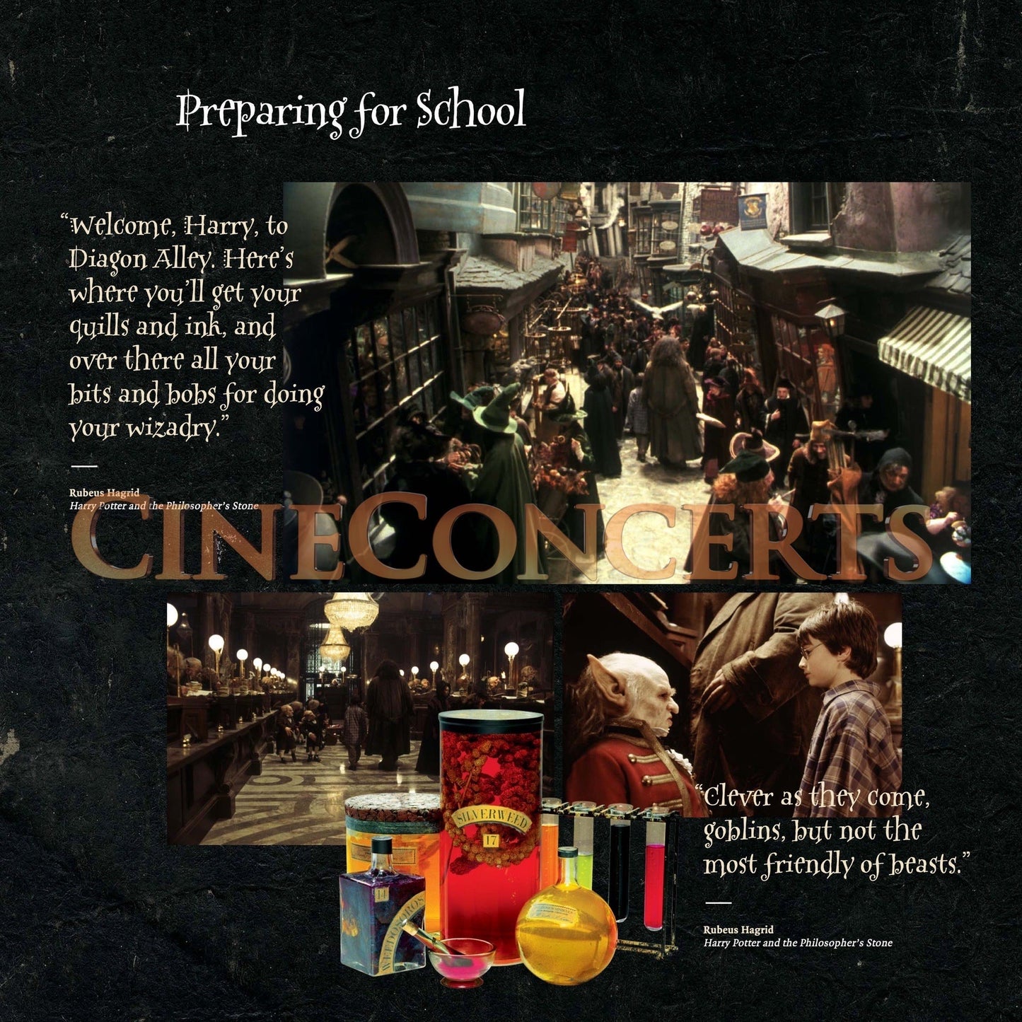 Harry Potter und der Stein der Weisen in Concert Souvenir Program