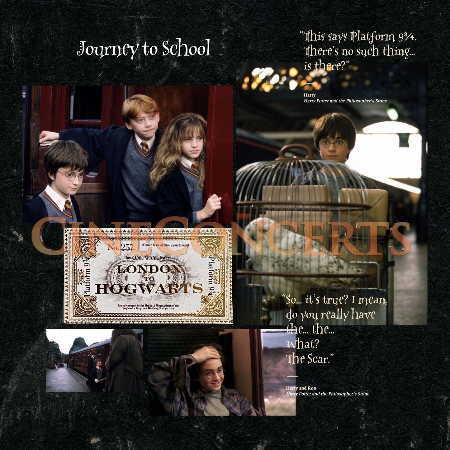 Harry Potter und der Stein der Weisen in Concert Souvenir Program