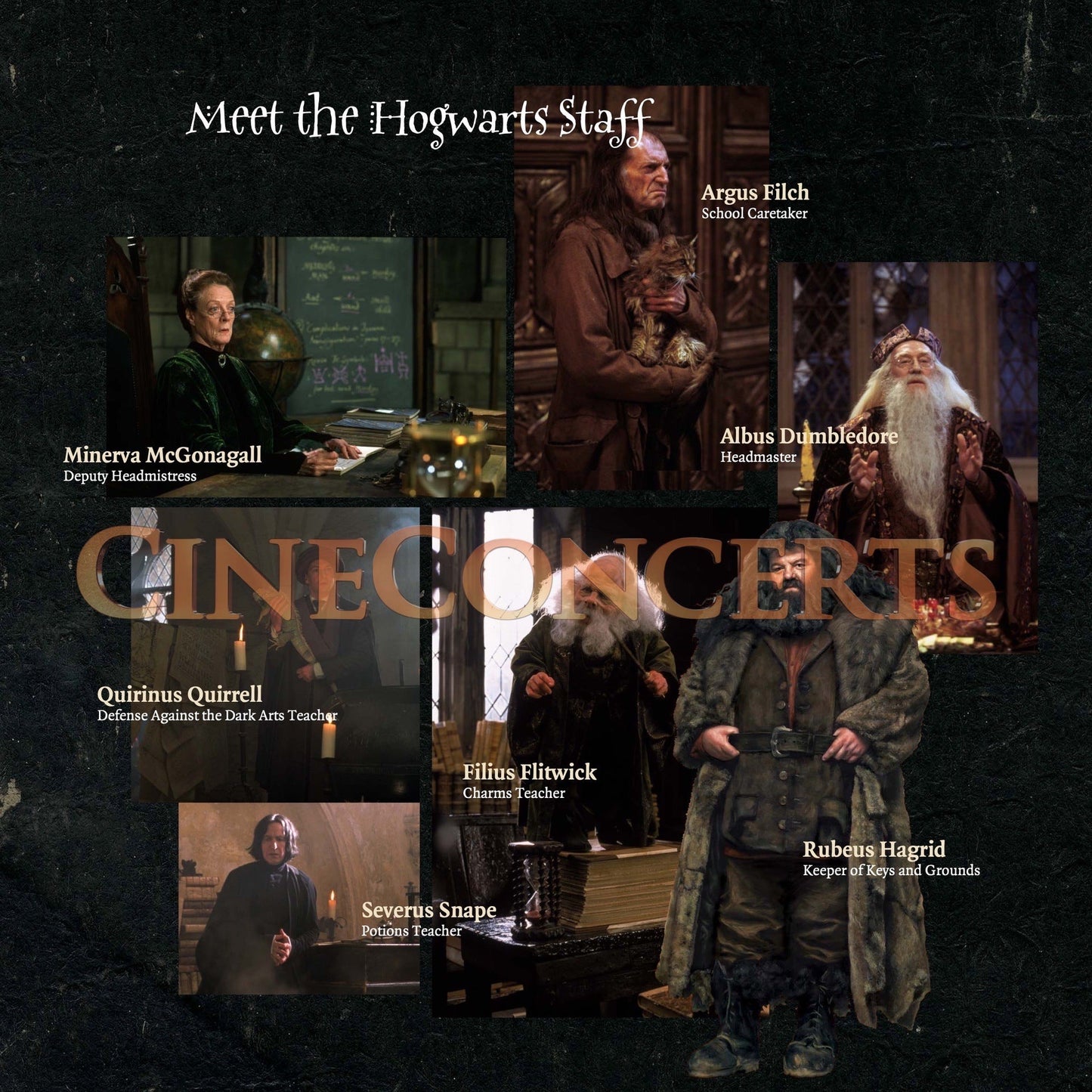 Harry Potter und der Stein der Weisen in Concert Souvenir Program