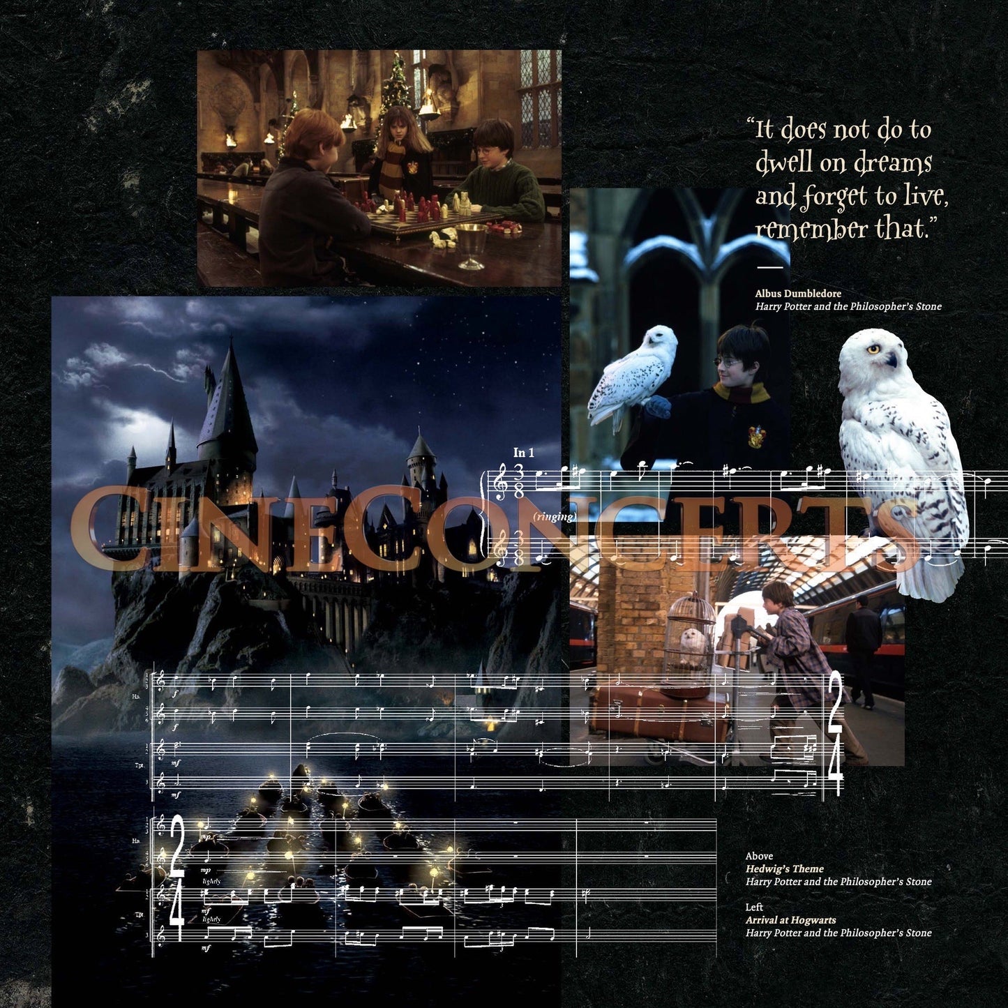 Harry Potter und der Stein der Weisen in Concert Souvenir Program