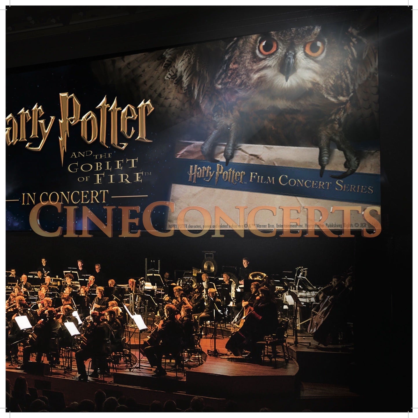 Harry Potter and the Goblet of Fire™ in Concert Souvenir Program