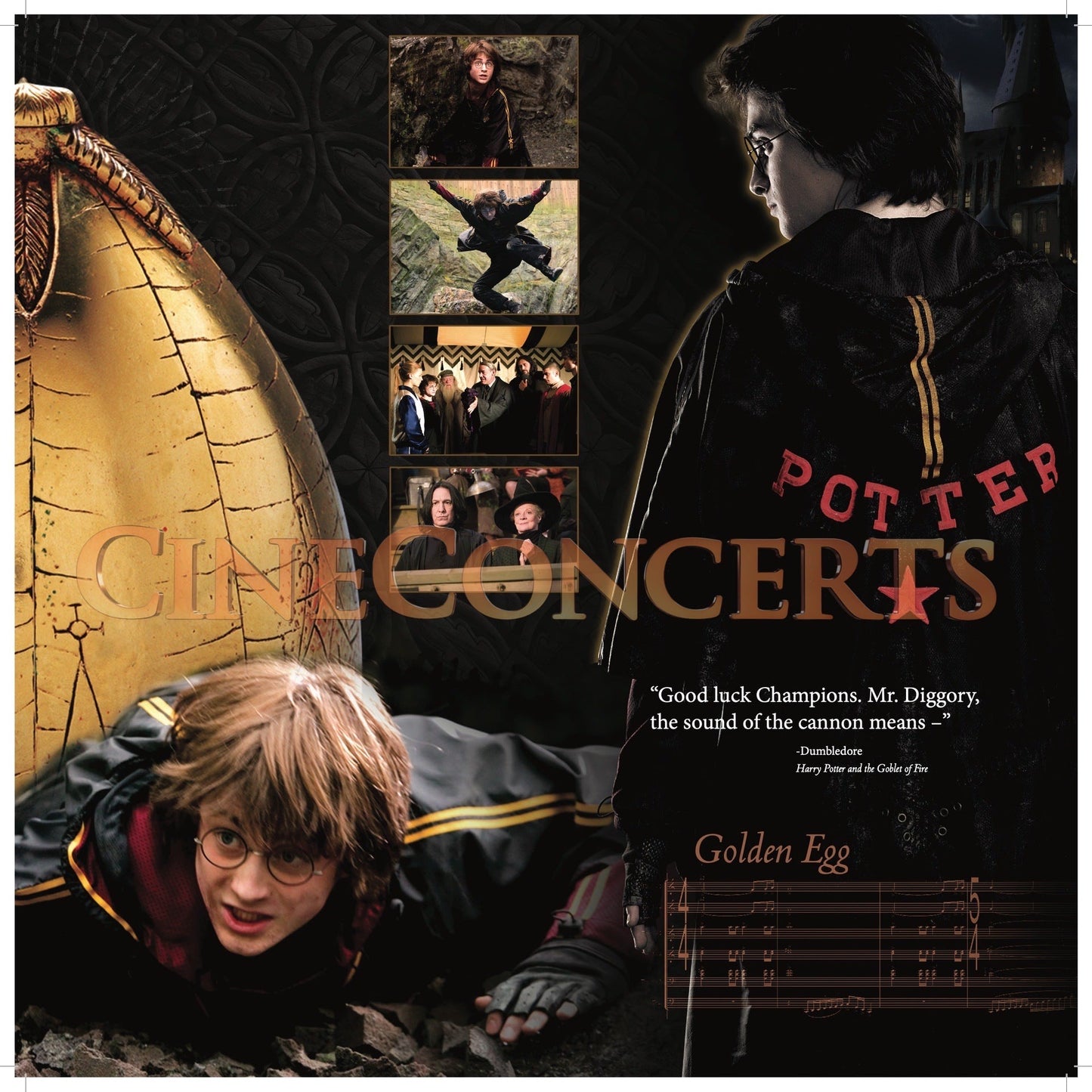 Harry Potter and the Goblet of Fire™ in Concert Souvenir Program