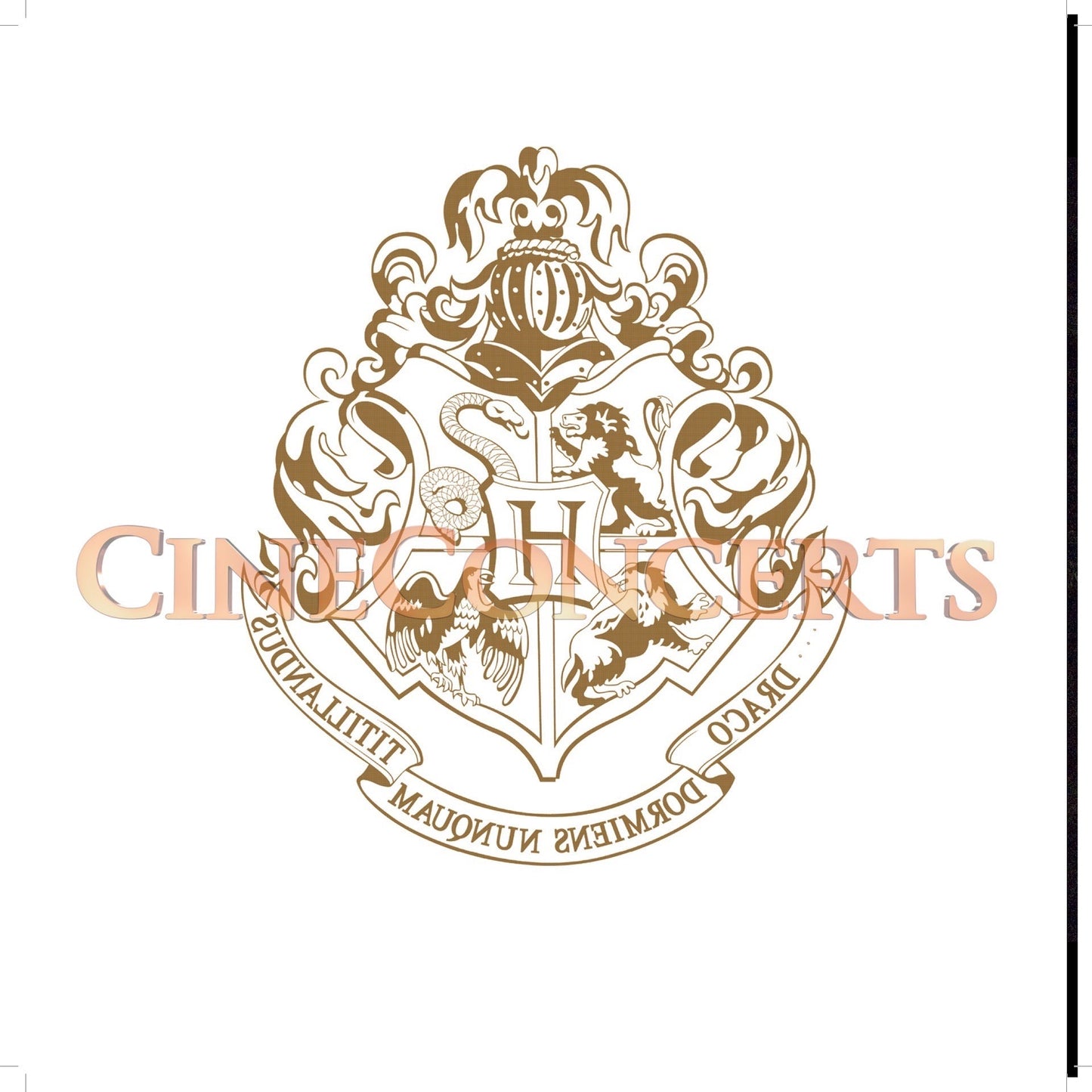 Harry Potter and the Goblet of Fire™ in Concert Souvenir Program