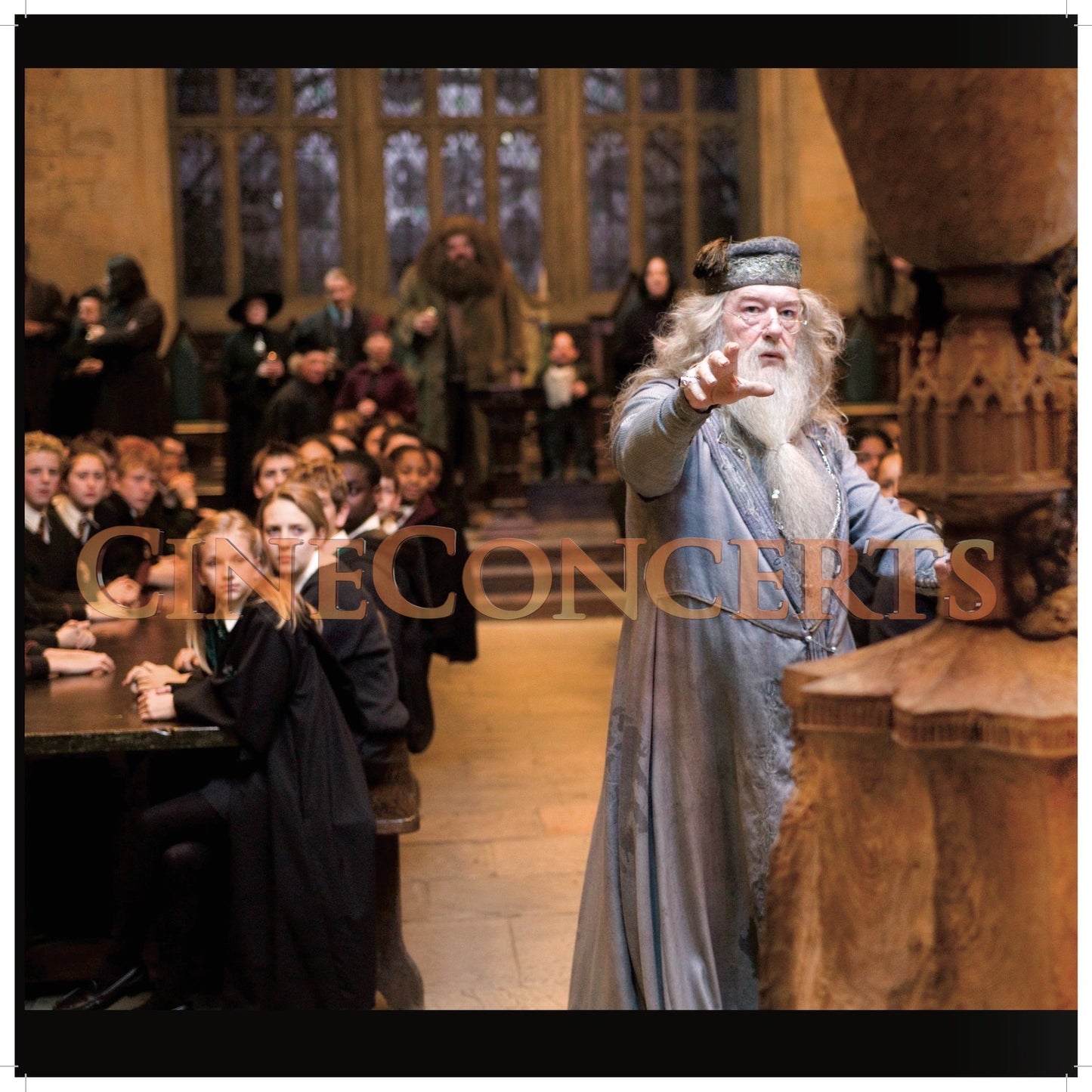 Harry Potter and the Goblet of Fire™ in Concert Souvenir Program