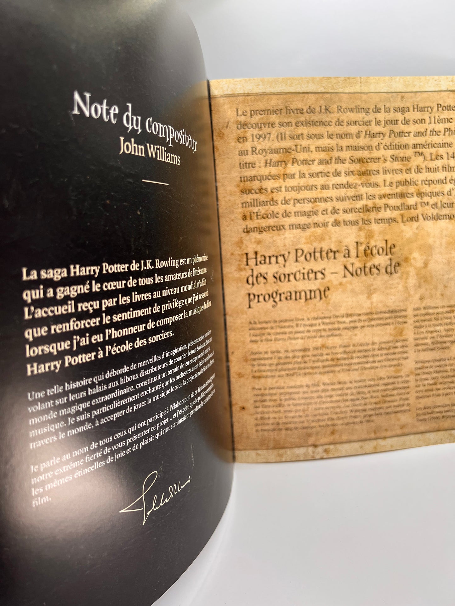 Harry Potter A L'Ecole des Sorciers in Concert Souvenir Booklet