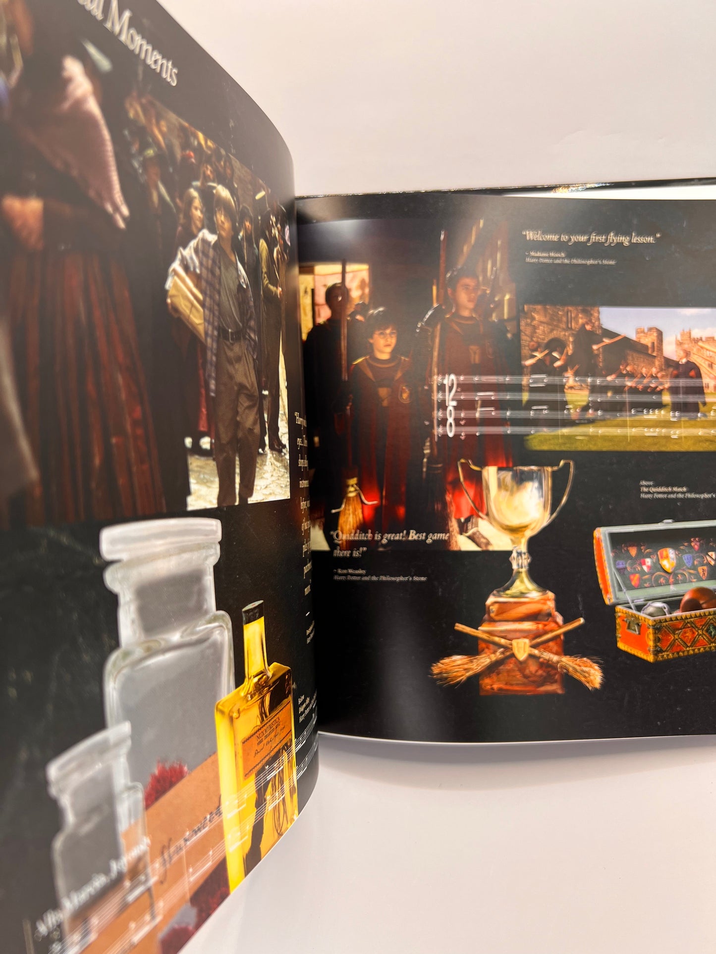 Harry Potter and the Sorcerer's Stone™ in Concert Hardcover Program Book