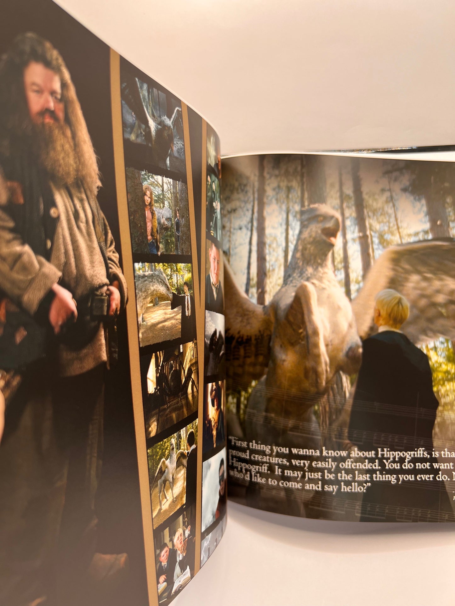 Harry Potter and the Prisoner of Azkaban™ in Concert Hardcover Program Book