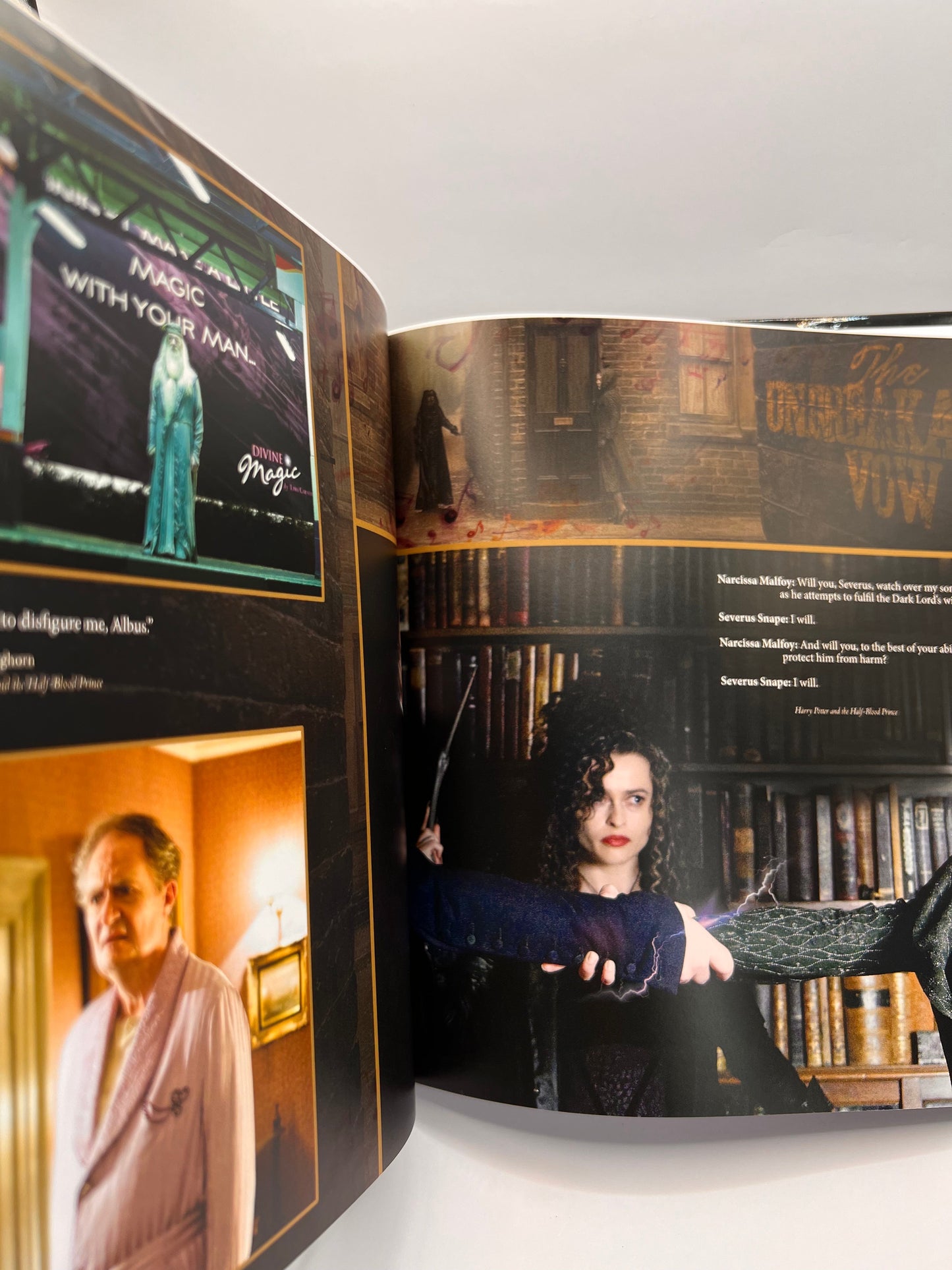 Harry Potter and the Half-Blood Prince™ in Concert Hardback Program Book