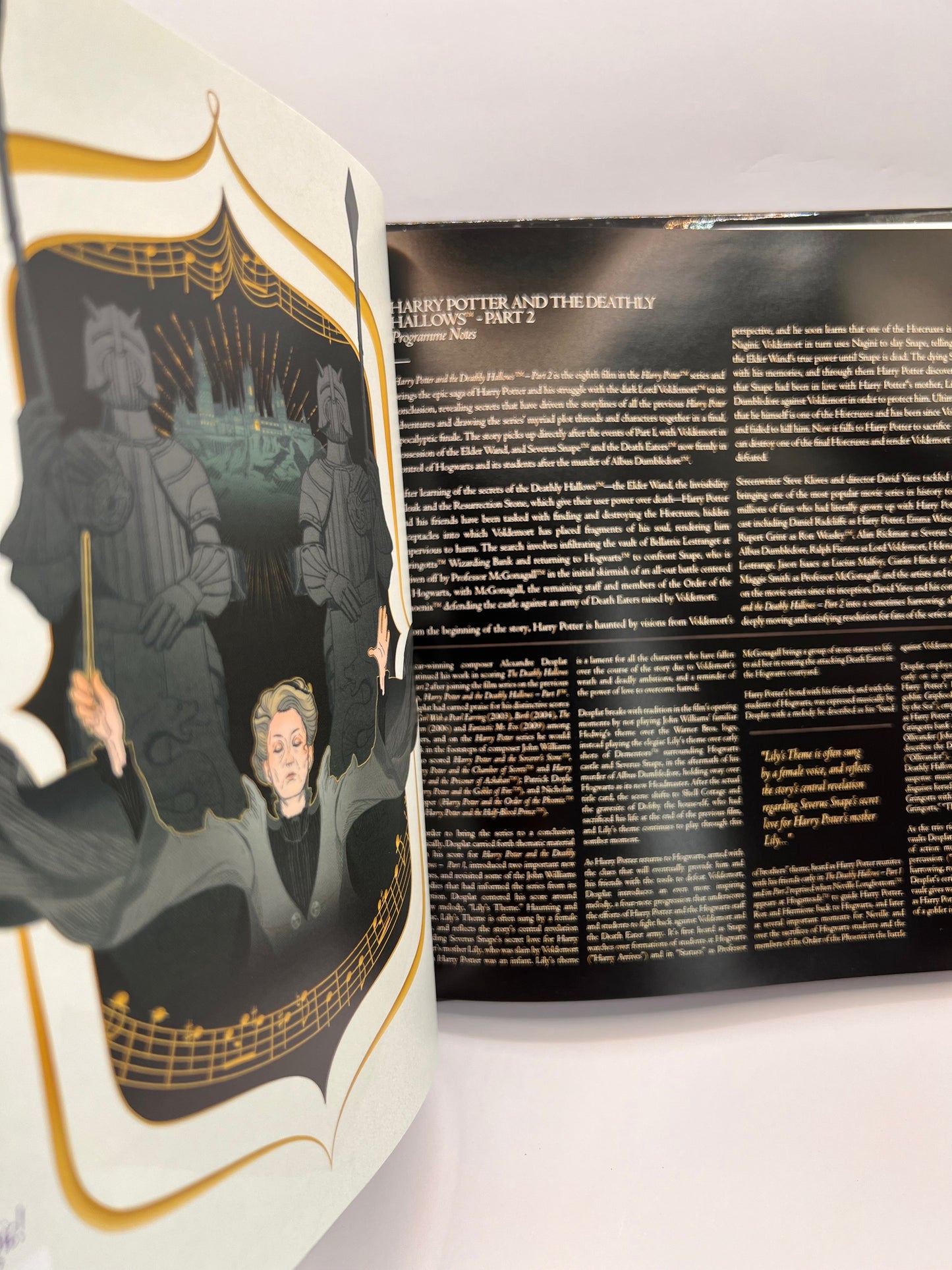 Harry Potter and the Deathly Hallows™ - Part 2 in Concert Hardback Program Book