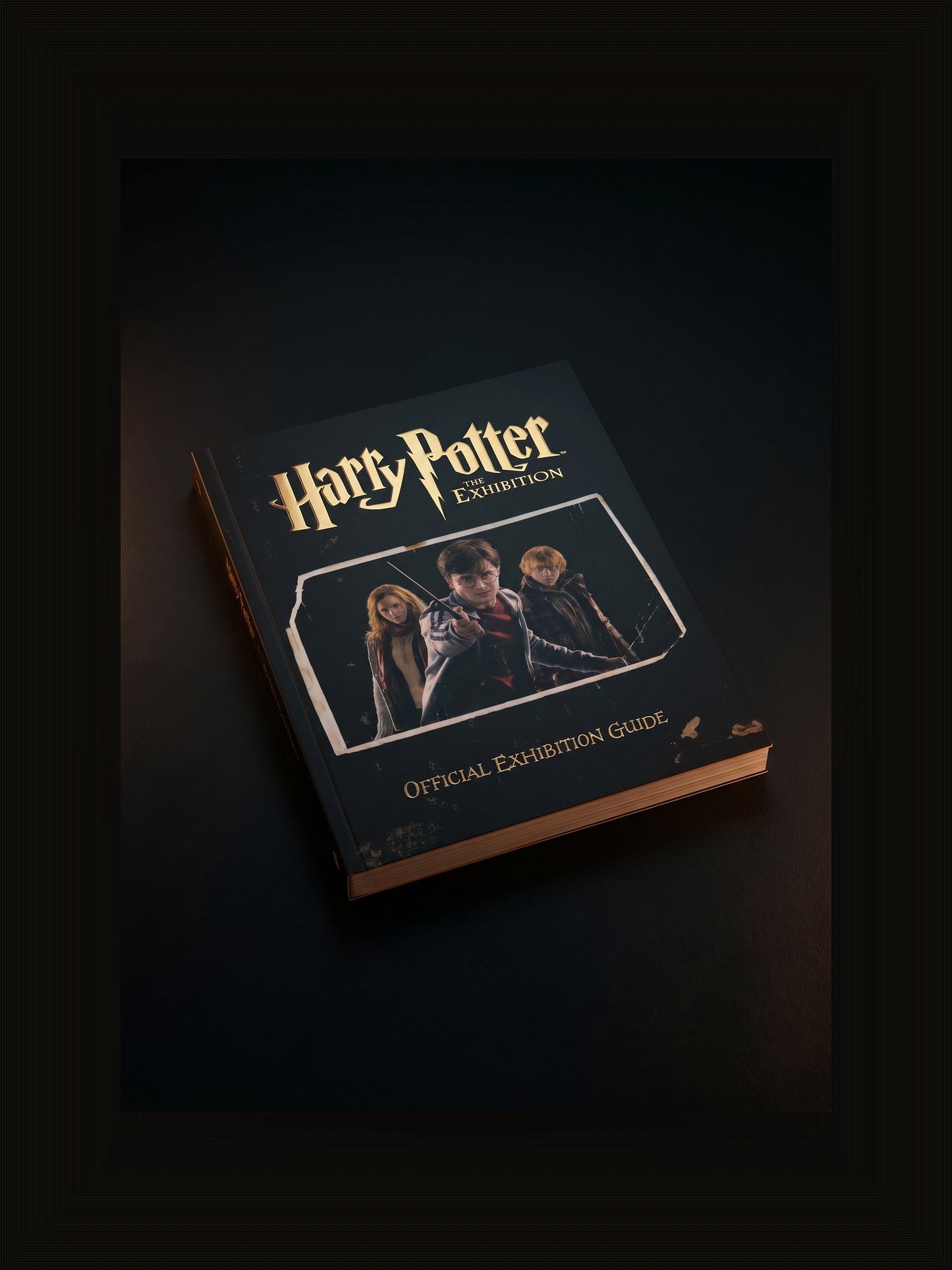 Harry Potter the Exhibition: Official Exhibition Guide (Collectible)