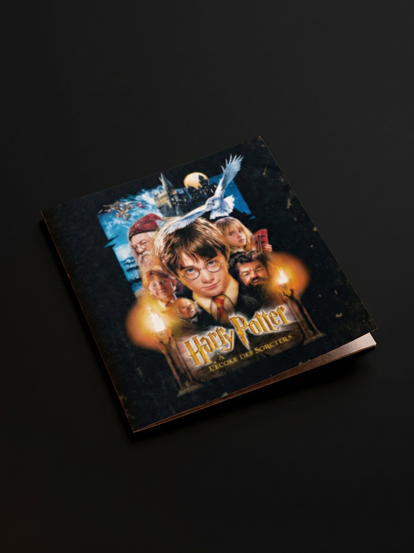Harry Potter A L'Ecole des Sorciers in Concert Souvenir Booklet