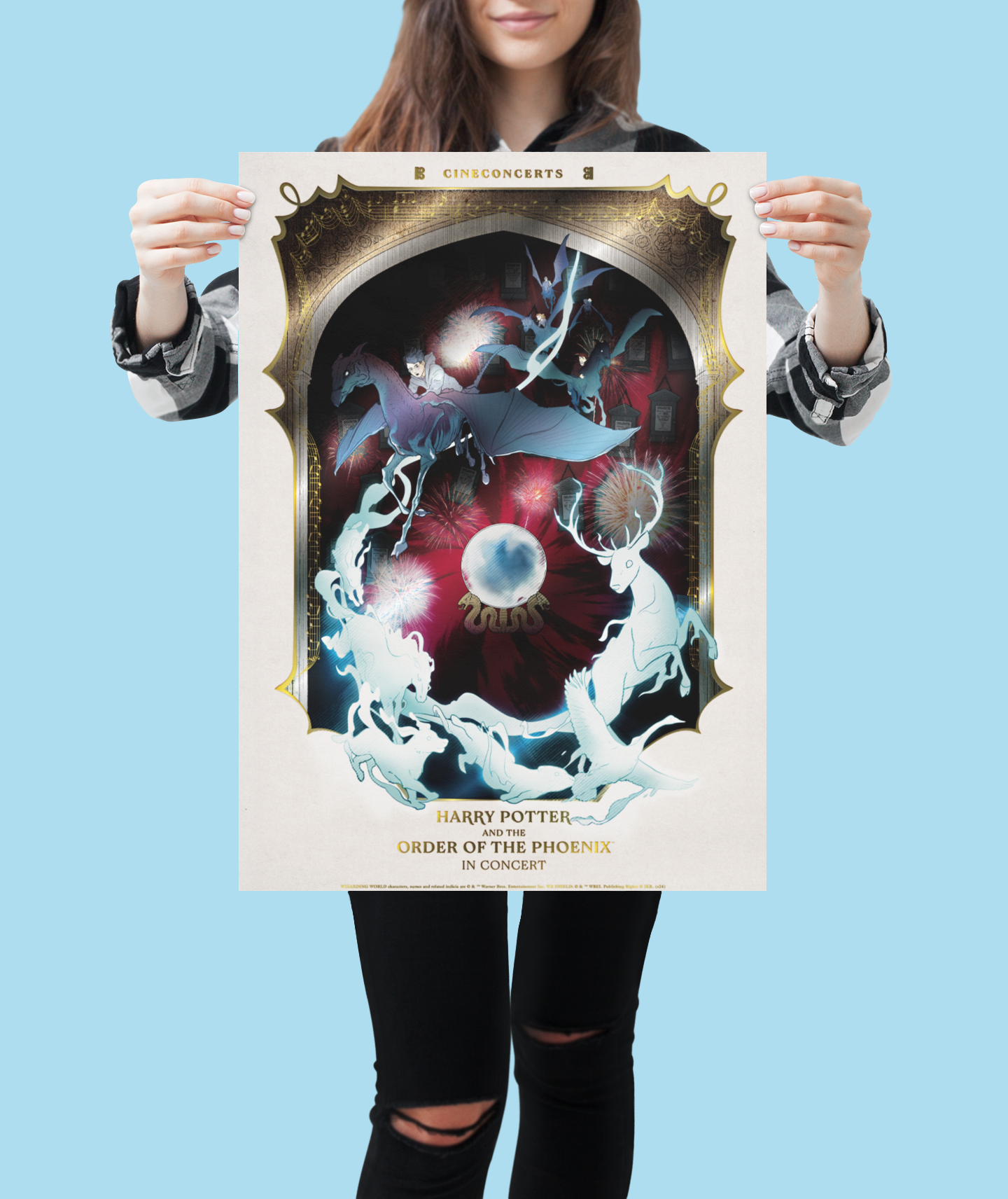 Harry Potter and the Order of the Phoenix™ in Concert Foil Poster (18" x 24")