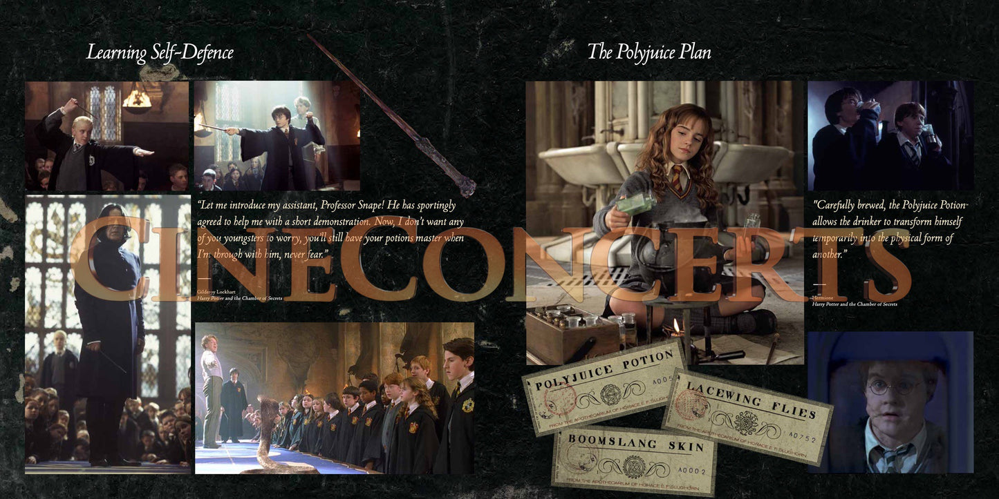 Harry Potter and the Chamber of Secrets™ in Concert Souvenir Program