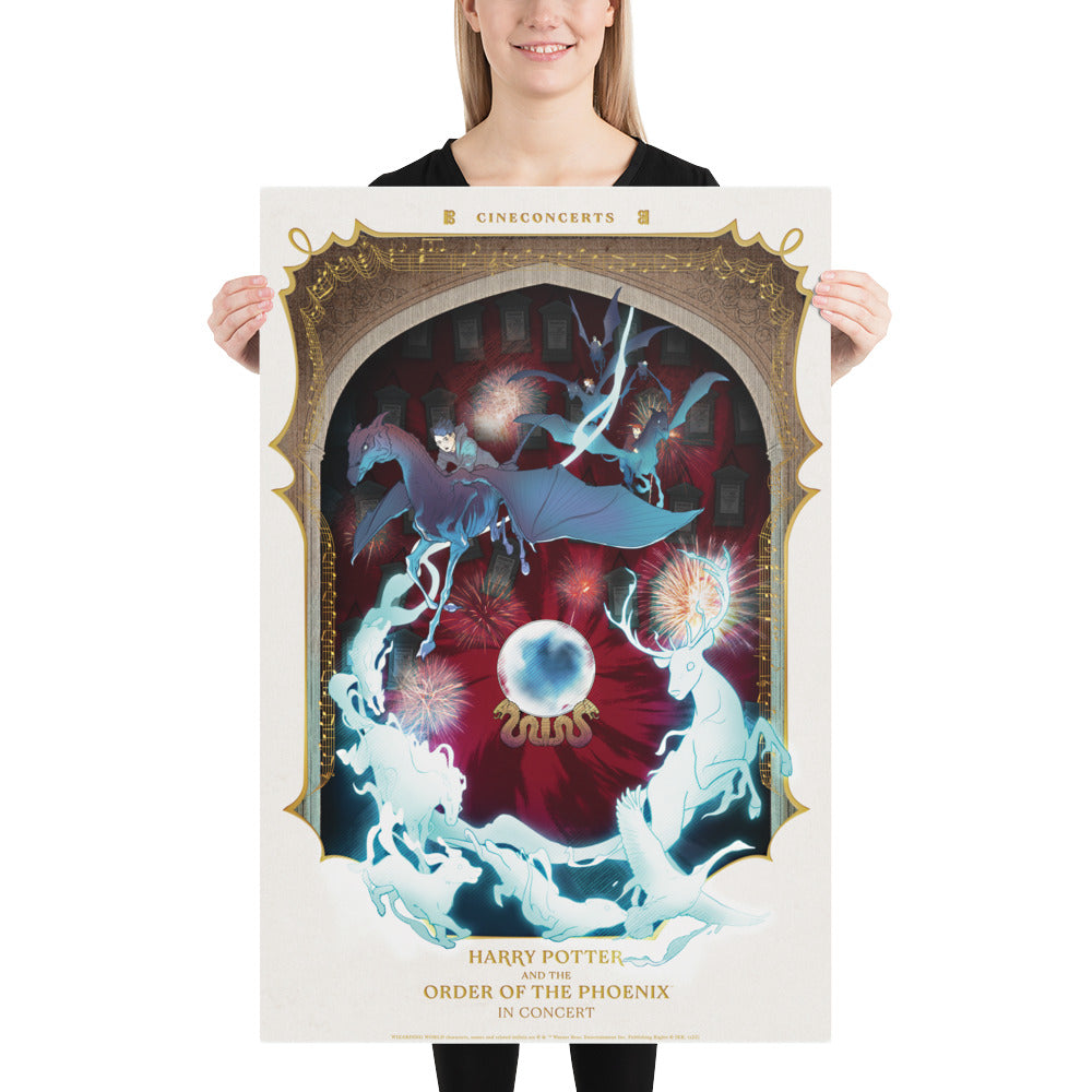 Harry Potter movie poster - Order Of The Phoenix (b) Harry Potter poster